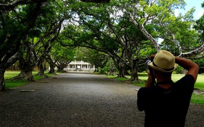 Les maisons coloniales à l’île maurice